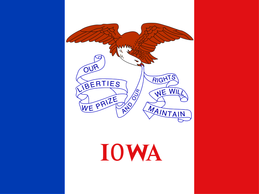 United States State Flag Iowa IA Bronze Cufflinks 