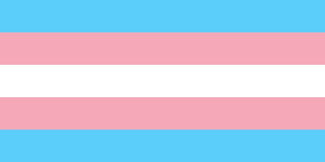 Buy Transgender Pride Flag Online Printed Sewn Flags 13 Sizes