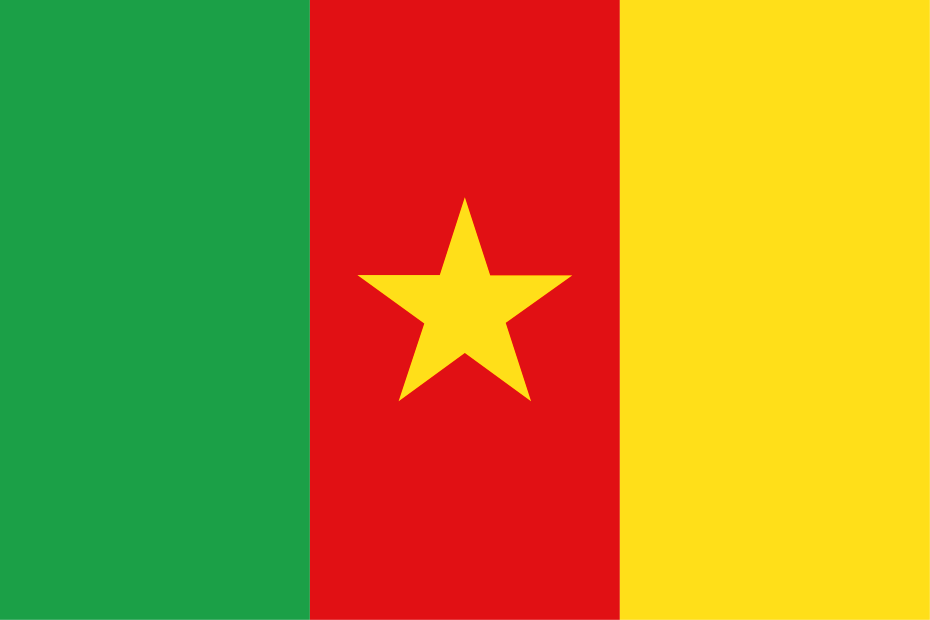 National Flag Cameroon Flag 3X2FT 5X3FT 6X4FT 8X5FT 100D Polyester Banner 