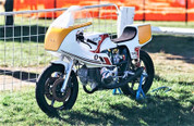 1981 Ducati Pantah 500 Racer