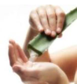 ingredients-aloeverajuice2.jpg ingredients-aloeverajuice2.jpg