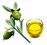 ingredients-organicjojoba2.jpg ingredients-organicjojoba2.jpg