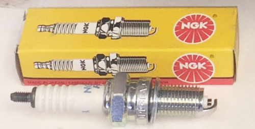 NEW QUALITY Cylinder Top End Rebuild Kit for the 1988-2000 Honda TRX 300 Fourtrax FW 4x4 /& 2x4 four-wheelers