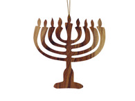 Hanukkah Menorah