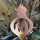 Olive Wood Nativity Ornament Large