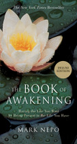 The Book of Awakening: Having the Life You Want by Being Present to the Life You Have by Mark Nepo. 