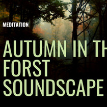 Autumn In The Forest Soundscape Meditation Download MP3