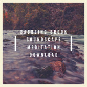 Babbling Brook Soundscape Meditation Download MP3