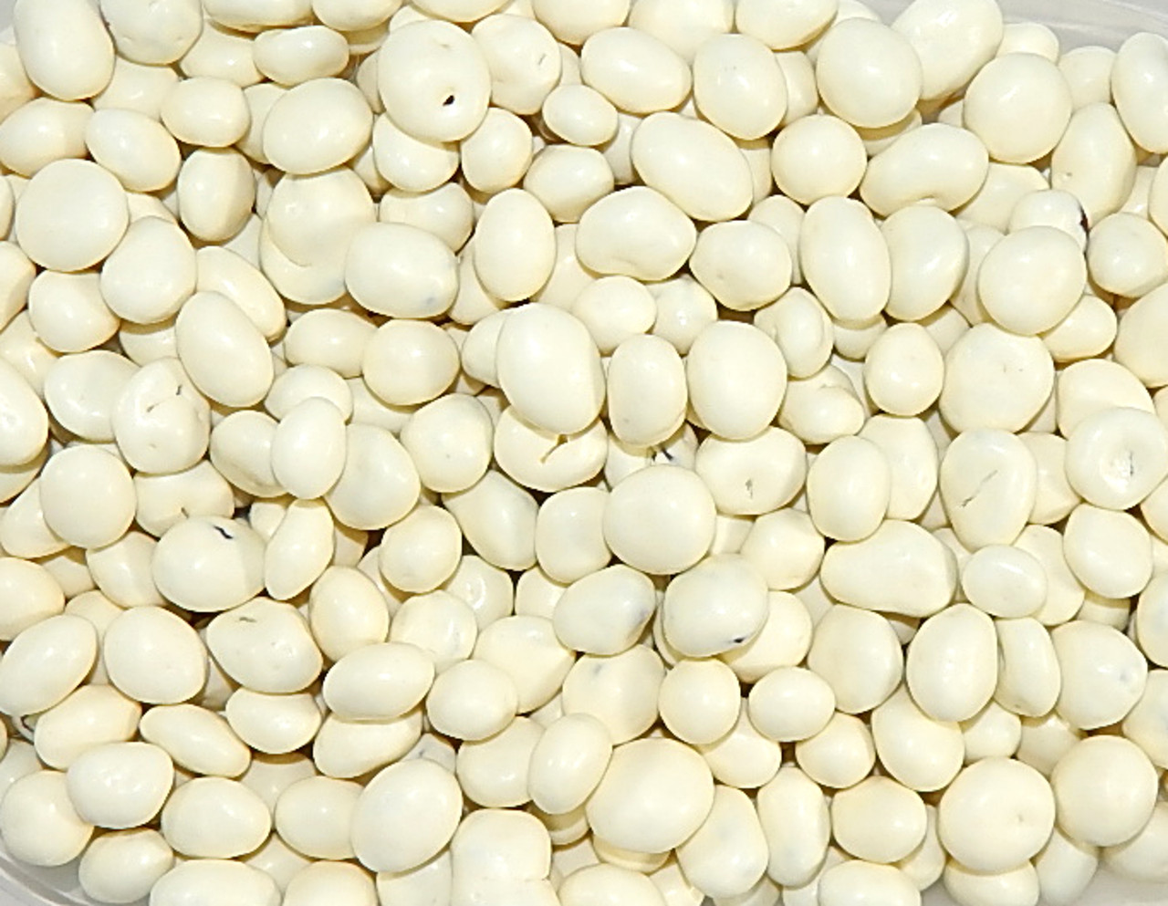 Sconza Raisins Yogurt Covered Yogurt Covered Raisins 3 Pound ( 48 OZ )