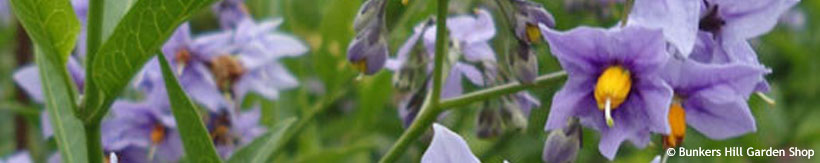 climbers-other-banner.jpg