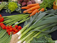 product-categories-veg-seeds2.jpg