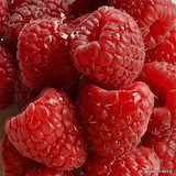 raspberry-glen-ample-square-.png