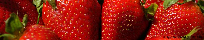 strawberries-kyle-mcdonald-cc-by-2.0-.jpg