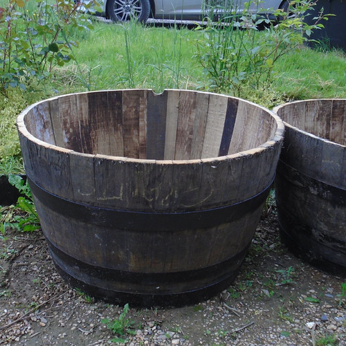 Giant Half Oak Barrel (36"W x 17"12"H) Bunkers Hill Plant Nursery