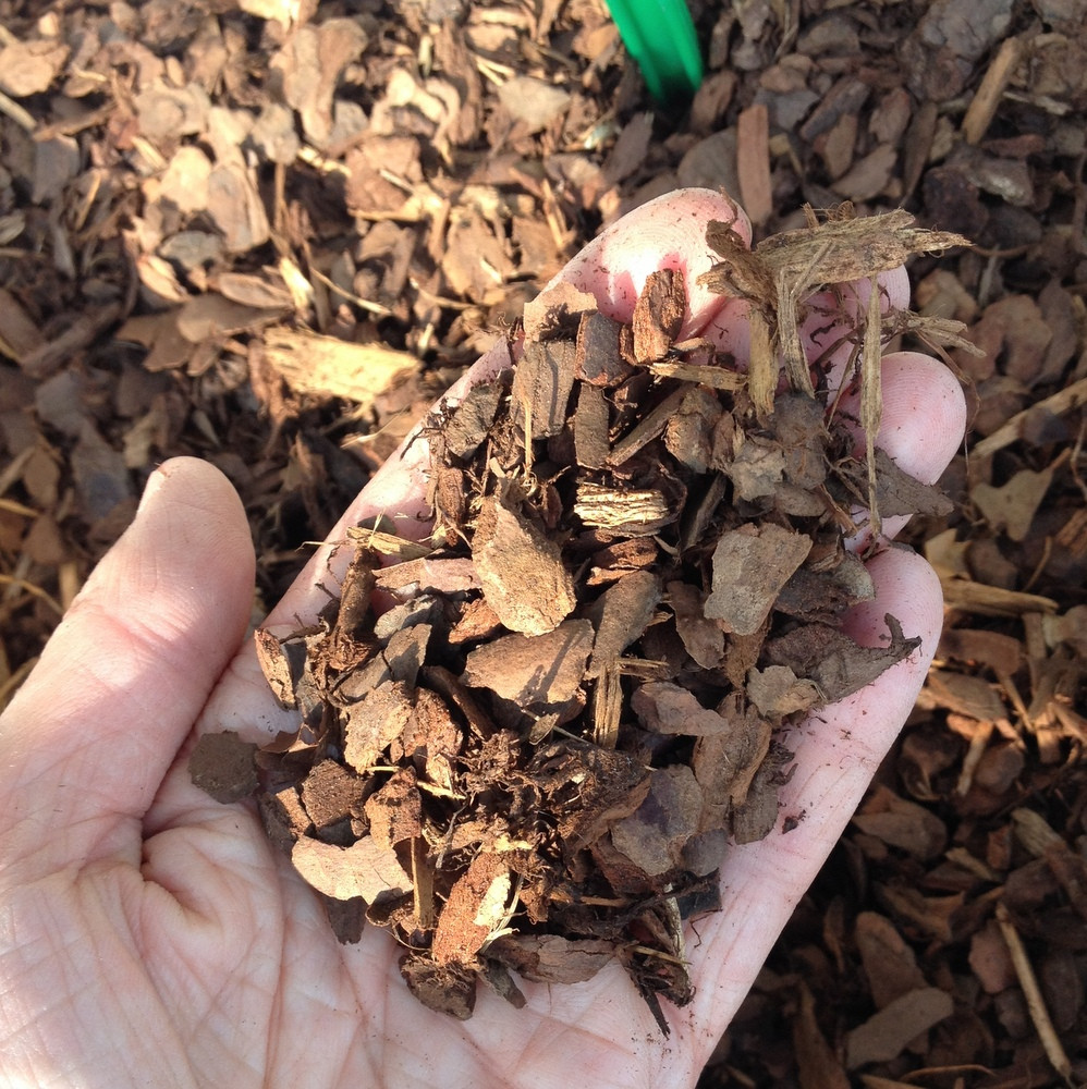 Melcourt Pine Mini Chips 50 litre Bunkers Hill Plant Nursery