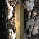 5ft square wooden tree stake