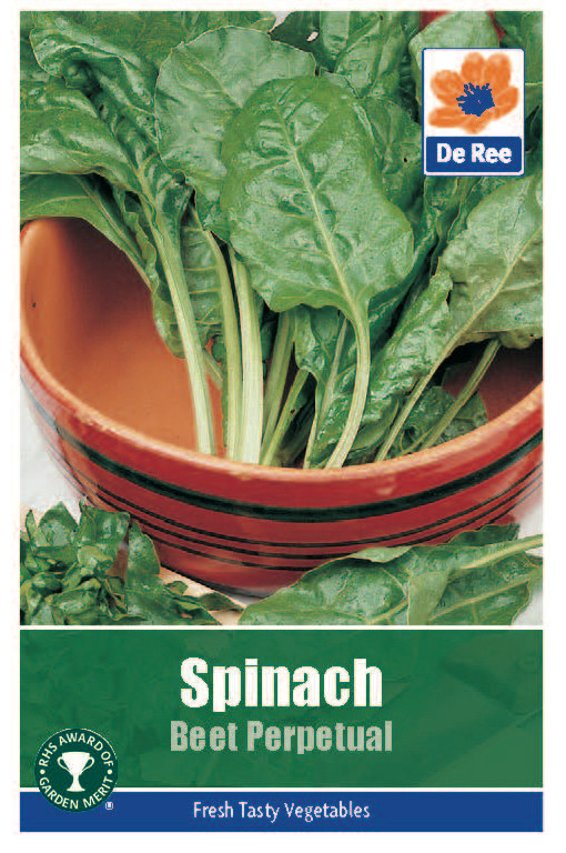 Spinach 'Beet Perpetual' Seeds Bunkers Hill Plant Nursery