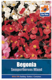 Begonia Semper Seeds
