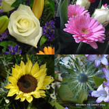 Flower selection in craft paper £30