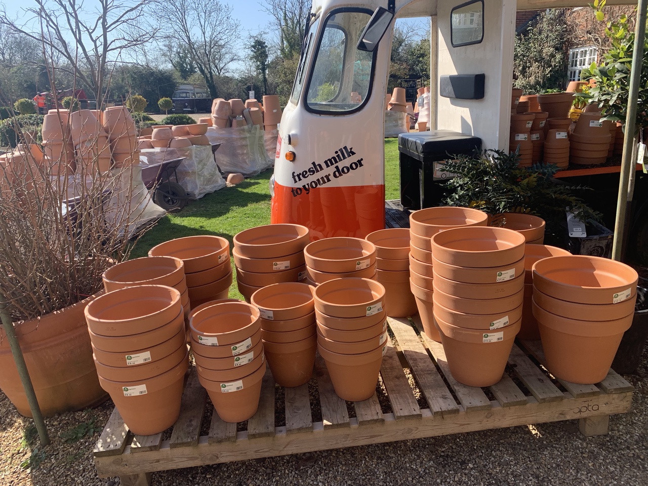 Plain Flower Pots Bunkers Hill Plant Nursery