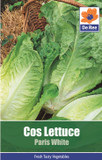 Lettuce 'Cos Paris White' Seeds