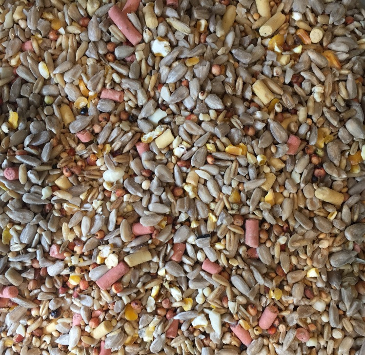 Premium wild bird seed with suet (wheatfree) 20kg Bunkers Hill