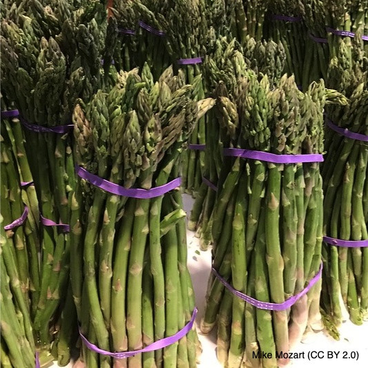 Asparagus Crown Mixed selection x 9 (PREORDER FOR MARCH 2021