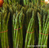 Asparagus 'Aspalim' (x10) bareroot