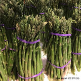 Asparagus 'Portlim' (x10) bareroot