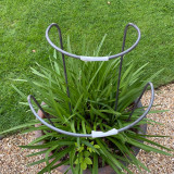Handmade metal hoop plant support (74cm tall)
