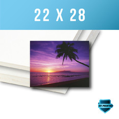 Foamcore - 22" x 28" - Single Sided