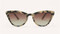 Z Supply Rooftop Sunglasses Brown Tortoise Gradient 