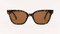 Z Supply High Tide Polarized Sunglasses Brown Tortoise 