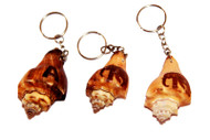 "Lina" Clam Key Tags, Elephant Decorated - Set of 10