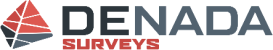 Denada Surveys's logo