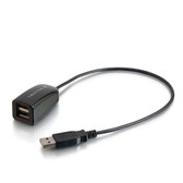 2-Port USB Hub for Chromebooks, Laptops, and Desktops