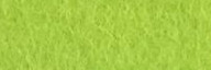 Caterpillar Green Felt Square - Wool Blend Felt