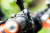 Remotek - Control Remoto para Roadbook y Mapas (ONE)