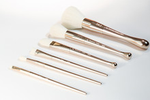 Champagne Marshmallow Brush Set (SOLD OUT)