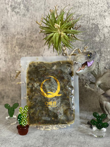 Q嚐伴 垂涎酸菜  Q Taste Buddy Pickled Mustard Green