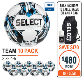 TEAM (FIFA BASIC) 10 BALL PACK