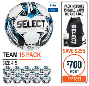 TEAM (FIFA BASIC) 15 BALL PACK