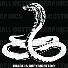 White cobra decal