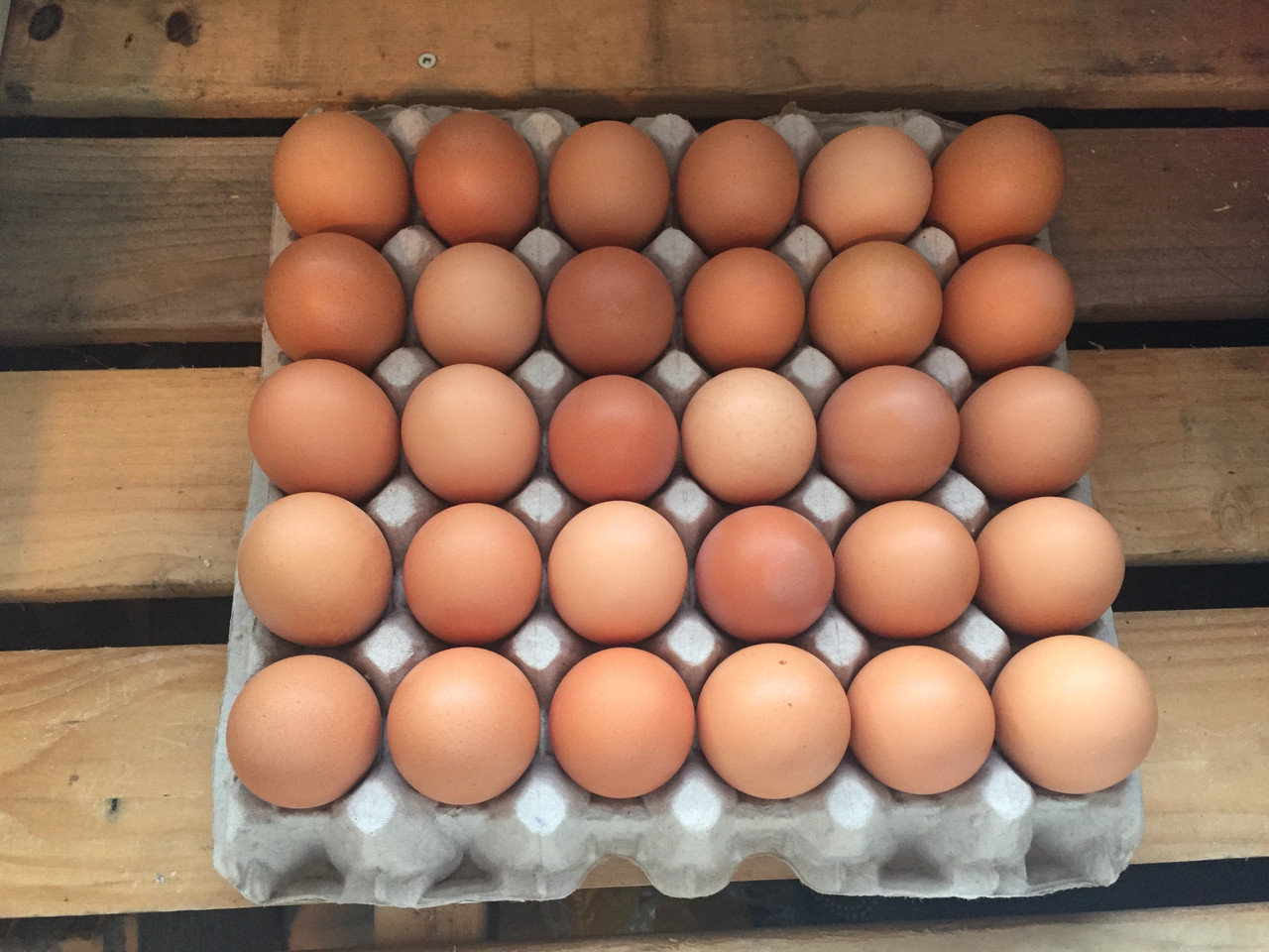 Biodynamic Humane Organic Local Fertile Chicken Eggs AA LG Brown, 30
