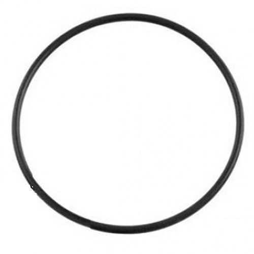 Poolrite PM & SQI Pump Lid O-Ring