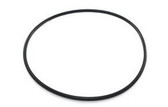 Stroud Dolphin Pool Pump Lid O-ring