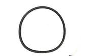 Waterco Hydrostorm Pump Lid O-ring