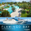 Flamingo Bay Hotel & Margaritaville Cruise