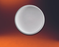 DOME89____CEILING DOME 89" diameter