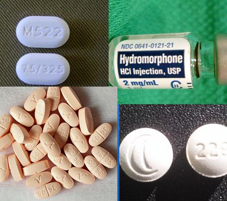 Reasonable Suspicion Training includes four new Opioids